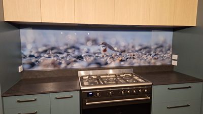 Printed glass splashback with a shorebird and pebbles design